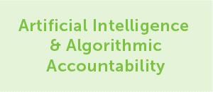 Artificial Intelligence & Algorithmic Accountability