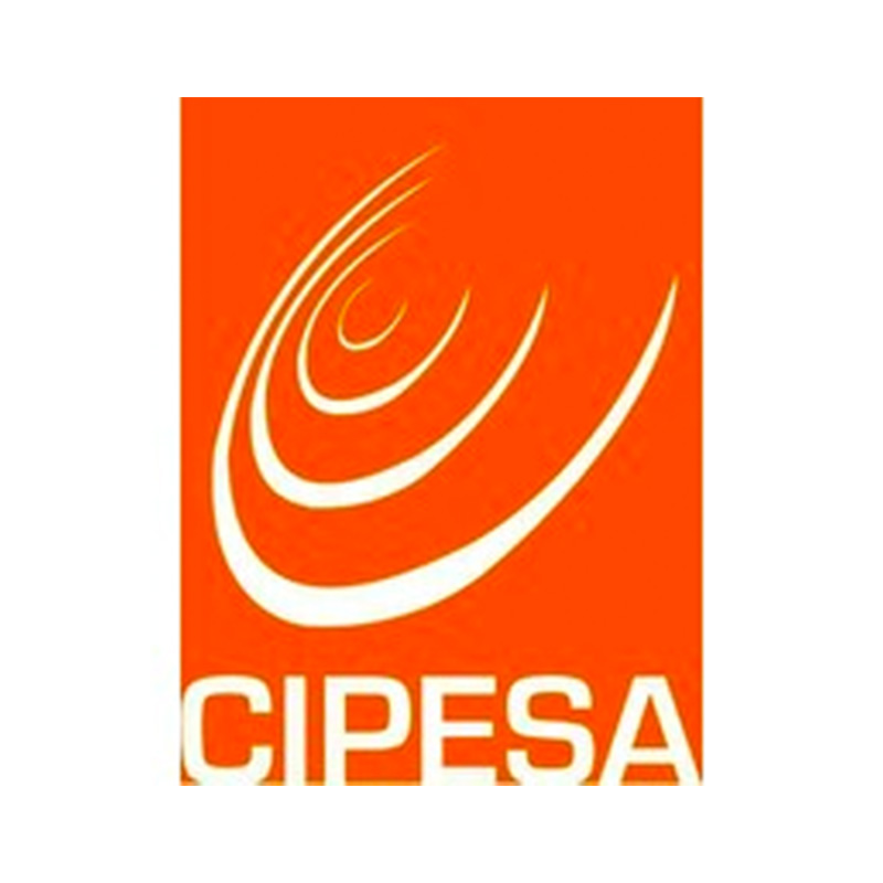 CIPESA Logo